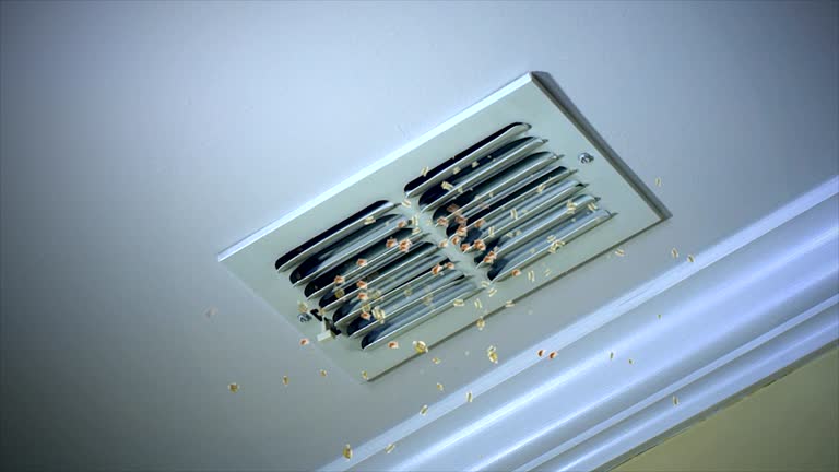 Best HVAC Air Duct Cleaning  in Lake Geneva, WI
