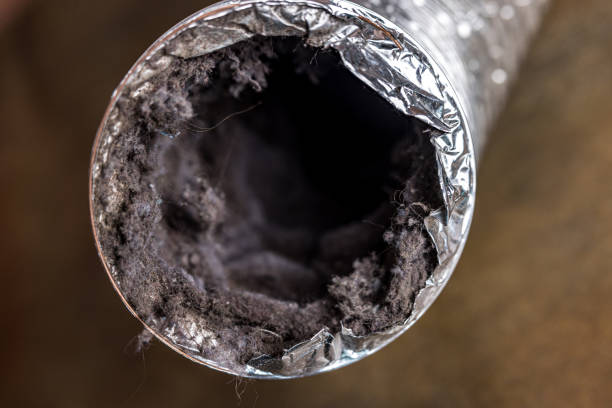 Best Dryer Vent Cleaning Services  in Lake Geneva, WI